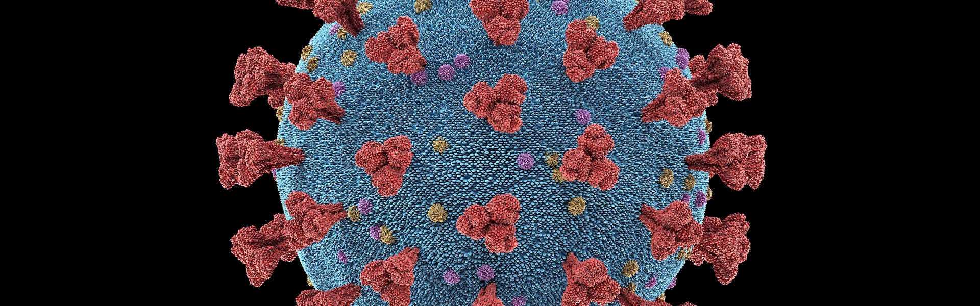 Bilden av ett coronavirus 